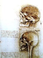 Leonardo da Vinci: Anatomist 新品未開封 Amazon.com: Leonardo Da Vinci: Anatomist: 9781905686391