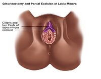 Baxmachning fohishalari Onlayn ogriqli porno tomosha qiling