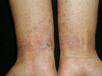 Selection: Latest images added