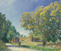 Alfred Sisley (Paris 1839 - Moret-sur-Loing 1899). A Forest