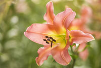 Selection: Latest images added