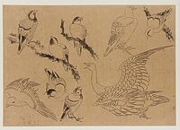 album_alb9531800.jpg