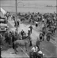 Selection: Latest images added