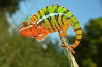 album_alb5152391.jpg