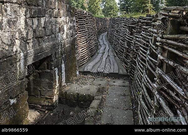 WWI bunker at Bayernwald, Croonaert Wood, reconstruction of German First World War One trench at Wijtschate, West Flanders, Belgium, Europe.