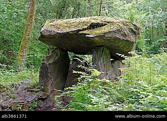 Dolmen, portal tomb, Irish National Heritage Park, Wexford, County Wexford, Ireland, Europe.