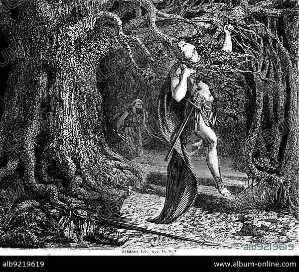 Absalom's death, meet, servants, David, ride, donkey, mule, great oak, head, entangled, hover, heaven, earth, run away, forest, way, Bible, Old Testament, Second Book of Samuelis, chapter 18, verse 9, historical illustration c. 1850, Middle East.
