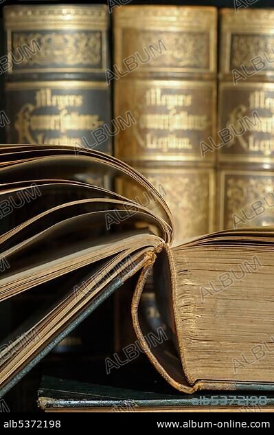 Volumes of an old edition of Meyers lexicon.