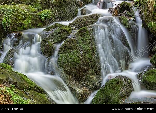 Fresh water waterfall on rocks moss cover in mountain. Fresh water waterfall on rocks moss cover in mountain.osges Alsace, France, Europe.
