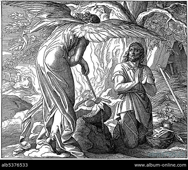 Woodcut, The Vocation of Gideon, Book of Judges, 6, 11;12, Old Testament, Catholic Picture-Bible.