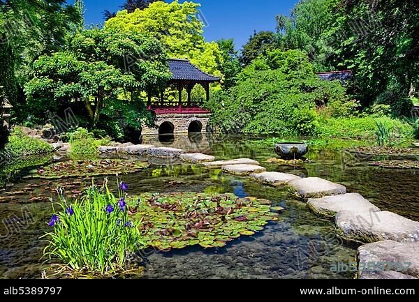 Japanese Garden of the Bayer AG, Leverkusen, North Rhine-Westphalia, Germany, Europe.
