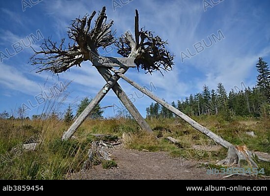 Begin of the Lotharpfad trail at Schliffkopf mountain at the Black Forest High Road, adventure trail through a swath of destruction created by Hurricane Lothar in 1999, overturned forest area, Black Forest, Baden-Wuerttemberg, Germany, Europe.