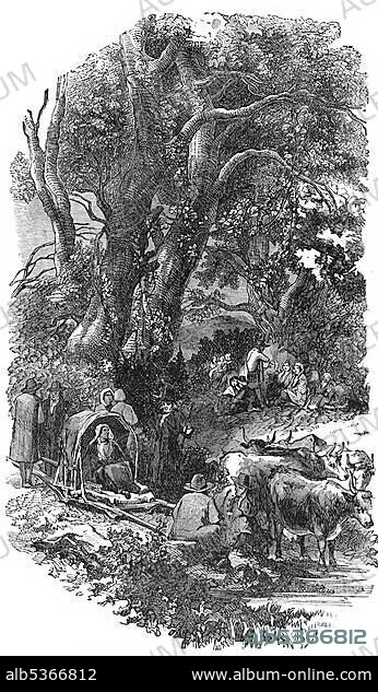 Historical drawing from the U.S. history of the 17th century, 1636, the emigration of Thomas Hooker, 1586 - 1647, a puritan of the first generation in New England, founder of the colony of Connecticut.