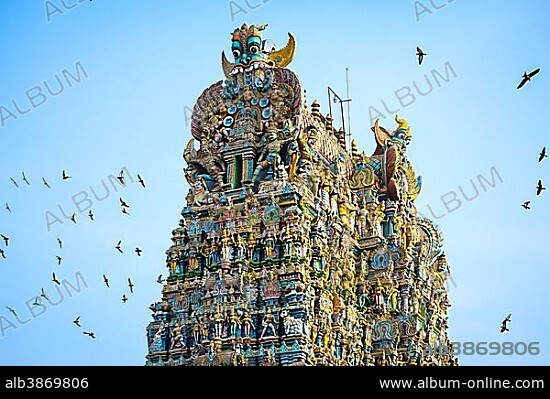 Doves flying around the Sri Meenakshi Sundareshwarar temple, Madurai, Tamil Nadu, South India, India, Asia.