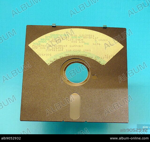 5 1/4inch floppy disks, were a type of disk storage, developed in the