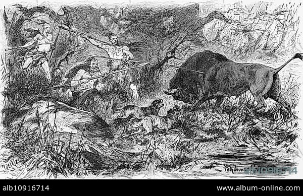 Aurochs hunting in the north, hunting dogs, spears, hunter, forest, Germany, historical illustration 1880, Europe.