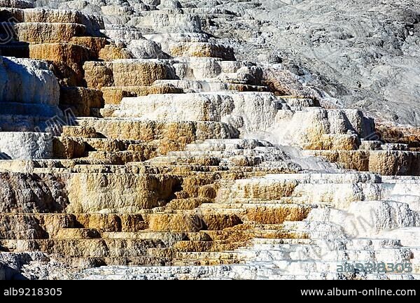 Palette Springs. Devils thumb at the Mammoth Hot Springs. Yellowstone National Park. Wyoming. USA.