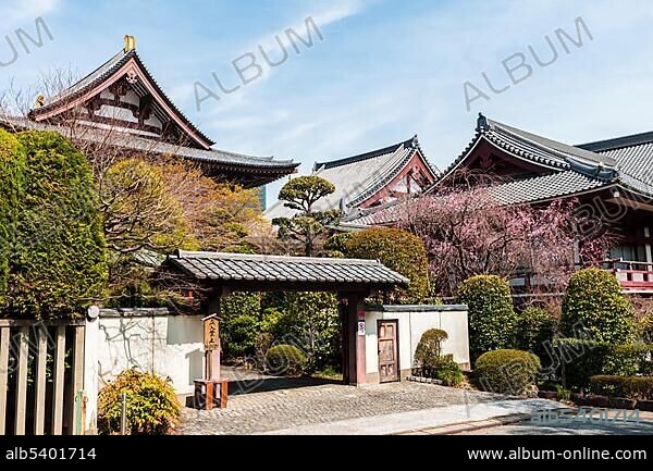 Entrance, ZÅjÅji Temple to Cherry Blossom, Buddhist temple complex, traditional Japanese architecture, Tokyo, Japan, Asia.