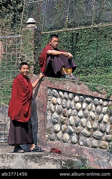 Young monks at the Rumtek Monastery or Dharma Chakra Centre, Tibetan Buddhism, Karma Kagyu line, near Gangtok, Sikkim, Indian Himalayas, India, South Asia, Asia.