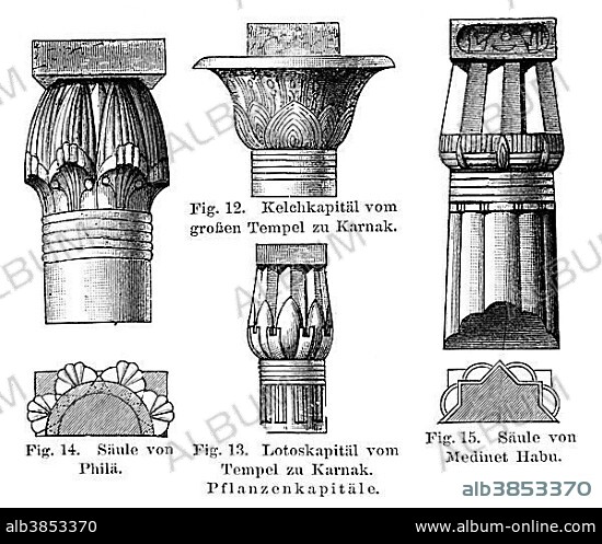 Lotus and papyrus capitals, Egypt, illustration, Meyers Konversations-Lexikon encyclopedia, 1897, Africa.