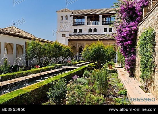 Patio de la Acequia, Gardens of the Generalife, Palacio de Generalife, Alhambra, UNESCO World Heritage Site, Granada, Andalusia, Spain, Europe.