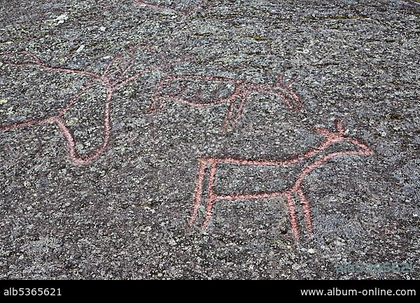 Rock carvings at Boggestranda on the Lang Fjord, MÃ¸re og Romsdal, Norway, Scandinavia, Europe.