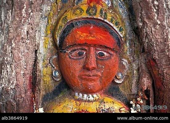 Hindu fertility goddess carved into a tree, tree temple, Hampi, Karnataka, South India, Asia.