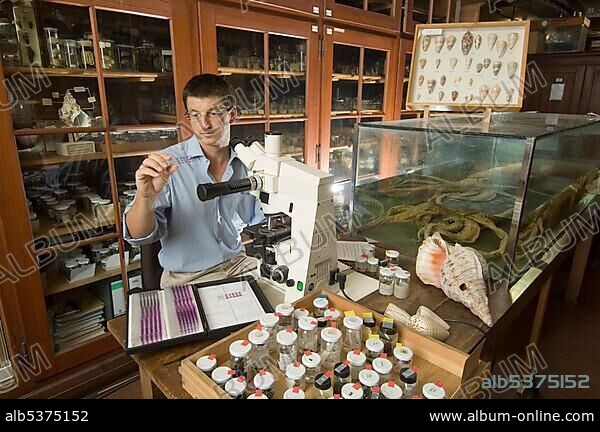 Scientist, Matthias Glaubrecht, Museum of Natural History, Berlin, Germany, Europe.