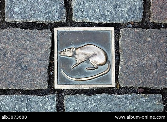 Paving tile with rat, rat catcher route, marking old city tour, historic centre, Hameln, Lower Saxony, Germany, Europe.