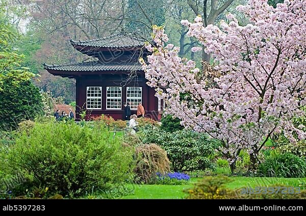 Japanese Garden of the Bayer AG, Leverkusen, North Rhine-Westphalia, Germany, Europe.