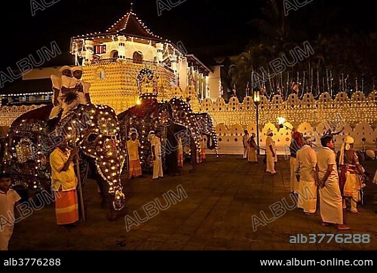 Decorated elephants, Buddhist festival Esala Perahera, Sri Dalada Maligawa or Temple of the Sacred Tooth Relic, Kandy, Central Province, Sri Lanka, Asia.