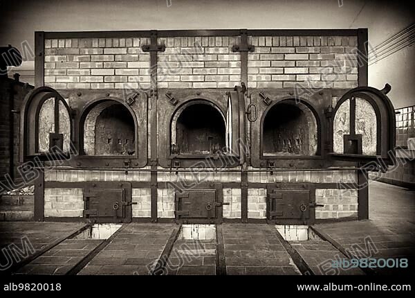 Crematorium incinerator; former concentration camp beech forest; today memorial; black and white; vintage; Weimar; Thuringia; Germany; Europe.