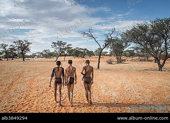 Kung Bushmen in the Kalahari, Zebra Lodge, Hardap Region, Namibia, Africa.