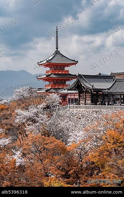 Pagoda and ZuigudÅ-Hall of the Kiyomizu-dera Temple to Cherry Blossom, Buddhist temple complex, back city, Higashiyama, Kyoto, Japan, Asia.