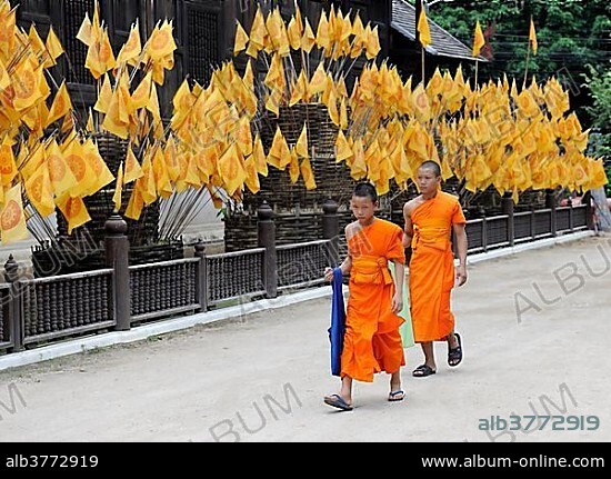 Young monks, Chiang Mai, Thailand, Asia.