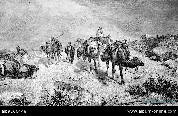 A Bedouin caravan in the Sahara desert, camels in load, digitally restored reproduction of an original 19th-century original.