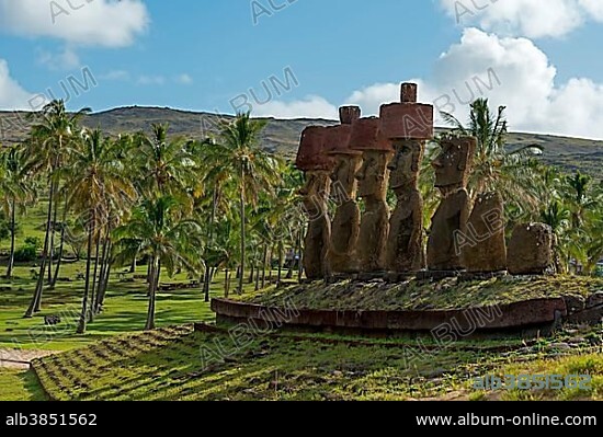Moais, palm trees, near Anakena, Rapa Nui, Easter Island, Chile, South America.