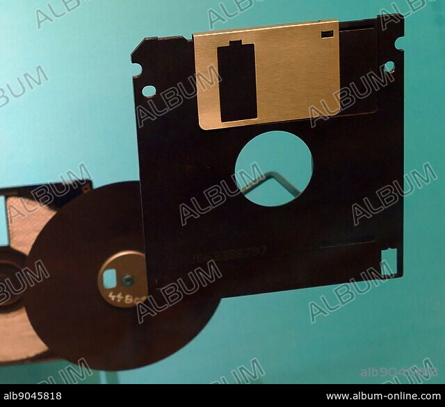 5 1/4inch floppy disks, were a type of disk storage, developed in the