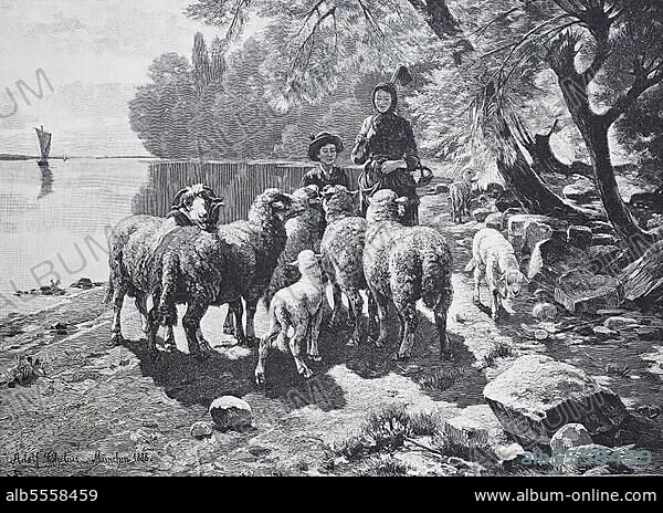 Schafe am bodensee, deutschland, paar beobachten die tiere, Historisch, digital restaurierte Reproduktion einer Originalvorlage aus dem 19. Jahrhundert.