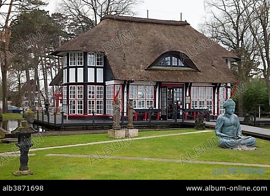 Mikado Garden, Japanese Garden and Gallery, Timmendorf Beach, Lübeck Bay, Schleswig-Holstein, Germany, Europe.