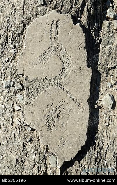 Prehistoric pictogram, petroglyph, ibex, Tschuja valley, Altai Republic, Siberia, Russia, Asia, Europe.