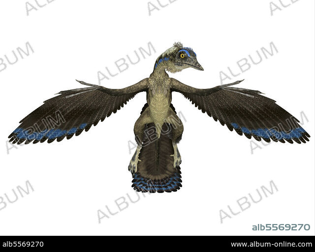 原画】Archaeopteryx don't know the kimono.