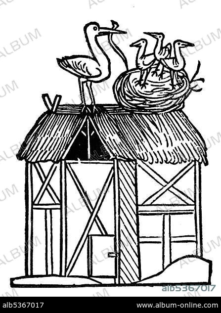 Stork is feeding his young with a snake, wood carving from medieval times.