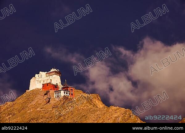 Namgyal Tsemo Gompa (Monastery), Leh, Ladakh, India, Asia.
