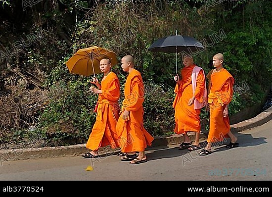 Buddhist monks wearing orange robes with umbrellas walking along a road, Luang Prabang, Laos, Asia.