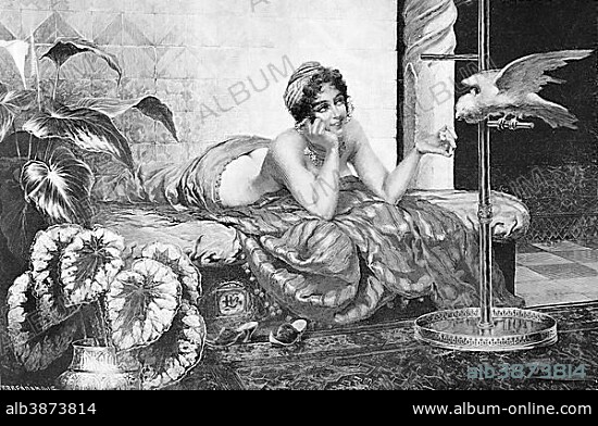 Harem joys, illustration from the yearbook, Moderne Kunst in Meisterholzschnitten, Modern Art in Master Woodcuts, 1900.