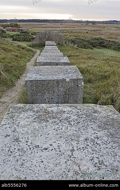 View of World War Two concrete tank traps on coastal dunes, Minsmere RSPB Reserve, Suffolk, England, United Kingdom, Europe.