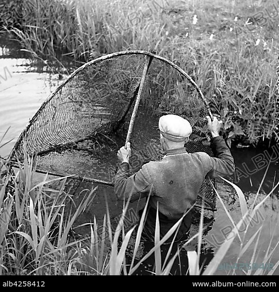 Fisherman with net in the river, ca. 1945 to 1955, near Freiburg, Germany, Europe.