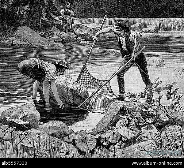Das Fangen von Forellen mit dem Handnetz, Deutschland (1898), Historisch, digital restaurierte Reproduktion einer Originalvorlage aus dem 18. Jahrhundert, genaues Originaldatum nicht bekannt.