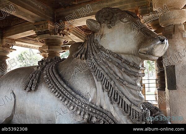 Nandi statue in the Hoysaleswara Temple, Hoysala style, Halebidu, Karnataka, South India, India, South Asia, Asia.